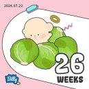 헬씨리브 | 토론토 임신, 출산 준비 : 26-27주차 (임당검사)