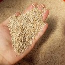 상태농장 이미지