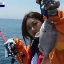 도시어부 이미지