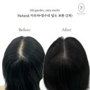 헤어팡팡&가발 이미지