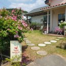 까페 하비비 이미지