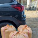 입암정미소 이미지