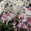 바른차를만드는사람들 이미지