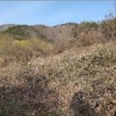 죽산리경로당 이미지