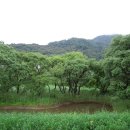 늘푸른가든 이미지