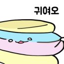 원당애견미용 이미지