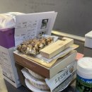 씨앗발전소 | [부산 남구 청년창조발전소] 씨앗 나눔 꾸러미 참여 후기