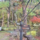 해오름 | [전남여행 Chapter 4] 담양 해오름펜션 후기 (⭐️추천⭐️)