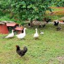 청계슈퍼 이미지