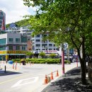 산천흑염소 이미지