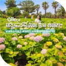 돼지야놀자 - 수영구 과정로 75-2 | 제주 휴애리 수국 축제 제주도 가볼만한곳 6월 제주 여행 코스 실시간 개화 상황 가족 여행지 추천