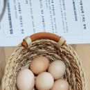 차우민박 이미지
