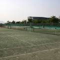 을숙도 풋살경기장 이미지
