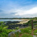 하도어촌체험휴양마을 이미지