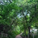 삼육사로45 | 경기도 연천 가볼만한곳 차로 등산할 수 있는 감악산 등산코스 , 감악산 근처 매운탕 맛집 먹보매운탕
