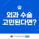 VIP동물의료센터 청담점 | vip동물의료센터 청담점, 외과 수술 고민 중이라면?