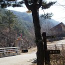 화원자연휴양림 이미지