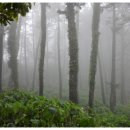 내도마을 이미지