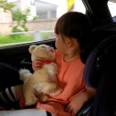 곰돌이소아치과의원 이미지