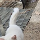 인제셀프세차장 이미지