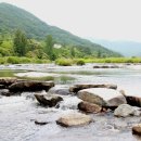 징검다리 이미지