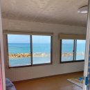 대진민박 이미지