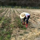 정주농장 이미지