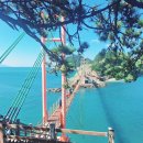 프라이빗 / 통영(만지도, 연대도, 장사도) 여행 안내문 이미지