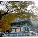 석모도를 품은 ‘보문사(普門寺)’ 이미지