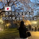 대가미공원1~3 | 후쿠오카 벚꽃 축제 마이즈루 공원 라이트업 일정 입장료 먹거리 후기