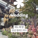 그레이스투어(Grace Tours) | W.베뉴투어 :: 안산 빌라드지디 웨딩홀 투어 &amp; 계약 후기 (2025년 12월 오후예식 견적 공유)