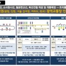 시흥플랑드르