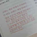 빛과 소금 리딩클럽 5월 도서｜『다시 피어날 교회의 얼굴』 서평 ⭐