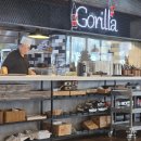 카츠 고릴라 이미지