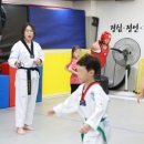 보성태권도 이미지