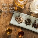 현대팜 | 꽃샘추위 세일페스타 기획전 약초밭아낙네 후기