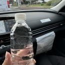 우진카 | 봄맞이 제주여행 더 세이프 렌터카 후기 / 우진해장국 오픈런🌼