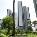 (주)뉴대우교통 | 평택뉴비전엘크루 아파트경매 평택시 합정동 경매물건 2025타경768