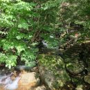 삼바골민박 이미지