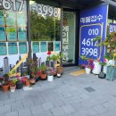 에코데시앙공인중개사사무소 이미지