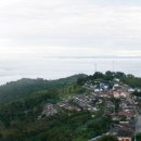 이재선농장 이미지