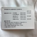 부산여행자클럽 | 부산 롯데호텔 클럽 라운지 내돈내산 이용 후기(조식/애프터눈 티/칵테일 서비스 시간, 메뉴 비교하기)