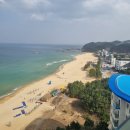 대명리조트 티스토리