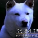 세진 이미지