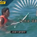 PPL 글로벌