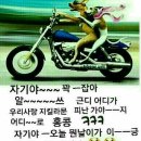 에이~~ 인생 헛 살았네!!!! 이미지