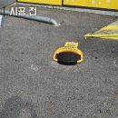 장보는 강아지와 고양이 의정부서부점 이미지