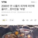 파인애플 피자, 이제 ‘하와이안 피자’로 부르면 안된다 이미지