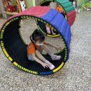 (주) 티피코 이미지