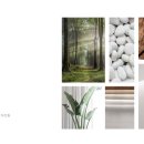 주식회사 다산메디칼 이미지